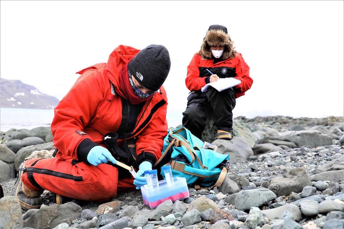 Pesquisadores da Fiocruz realizam pesquisa de campo na Antártica 