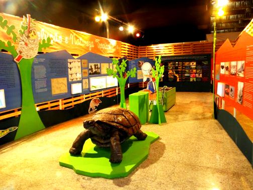 Vista da exposição, destacando a réplica de uma grande tartaruga.