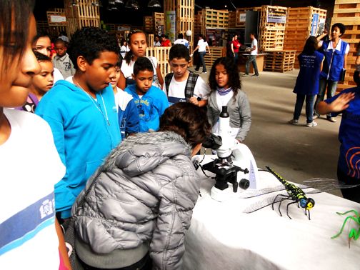 Crianças olhando insetos pelo microscópio
