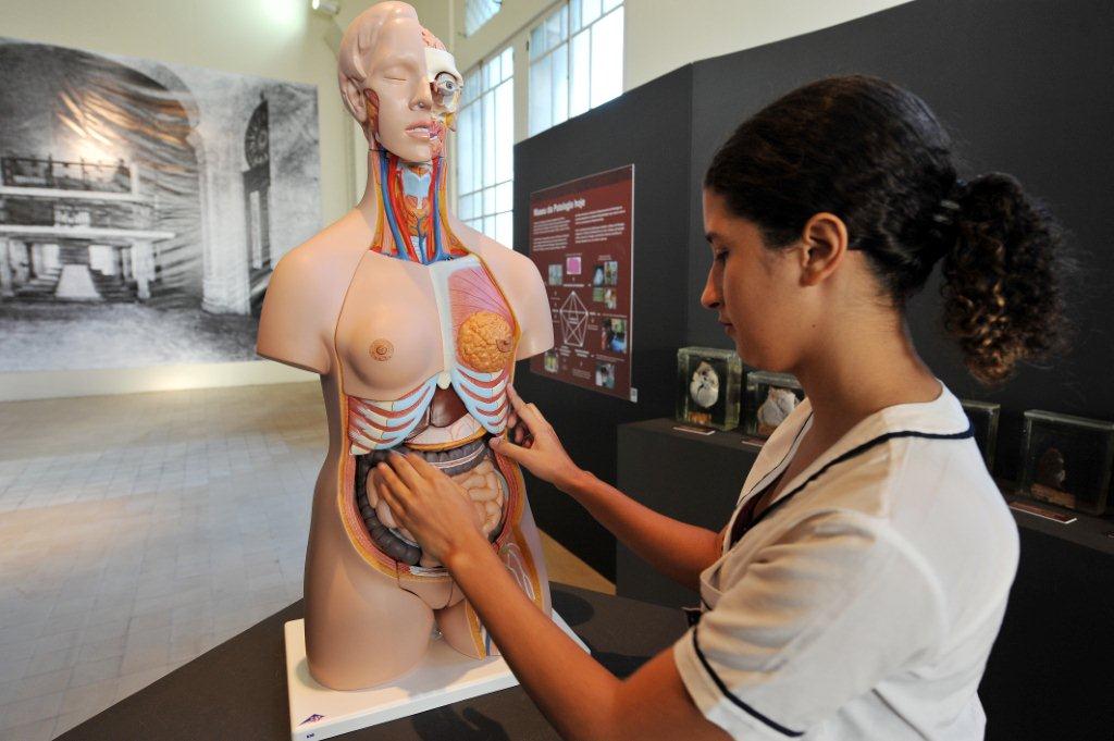 Anatomia, corpo e saúde são temas de exposição na Fiocruz