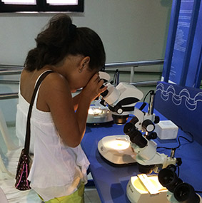 Menina observa larva do mosquito da dengue ao microscópio