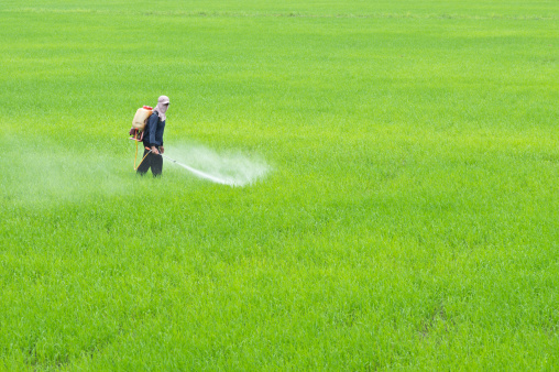 Homem aplica pesticida em campo