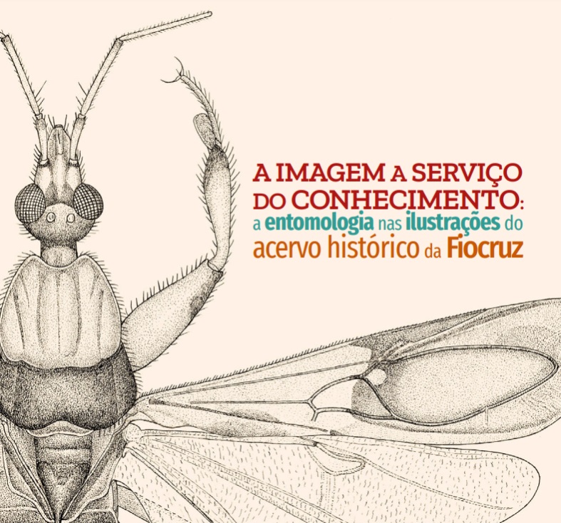 imagem ilustrativa de A entomologia nas ilustrações do acervo histórico da Fiocruz