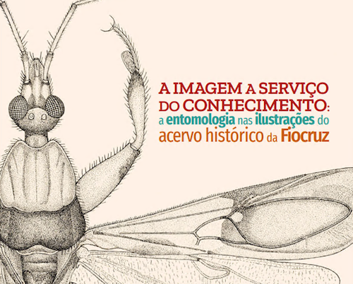 A IMAGEM A SERVIÇO DO CONHECIMENTO: A Capa do livro ENTOMOLOGIA NAS ILUSTRAÇÕES DO ACERVO HISTÓRICO DA FIOCRUZ. Detalhe de um inseto
