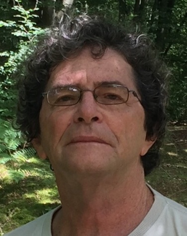 Imagem de perfil do pesquisador Ildeu De Castro Moreira