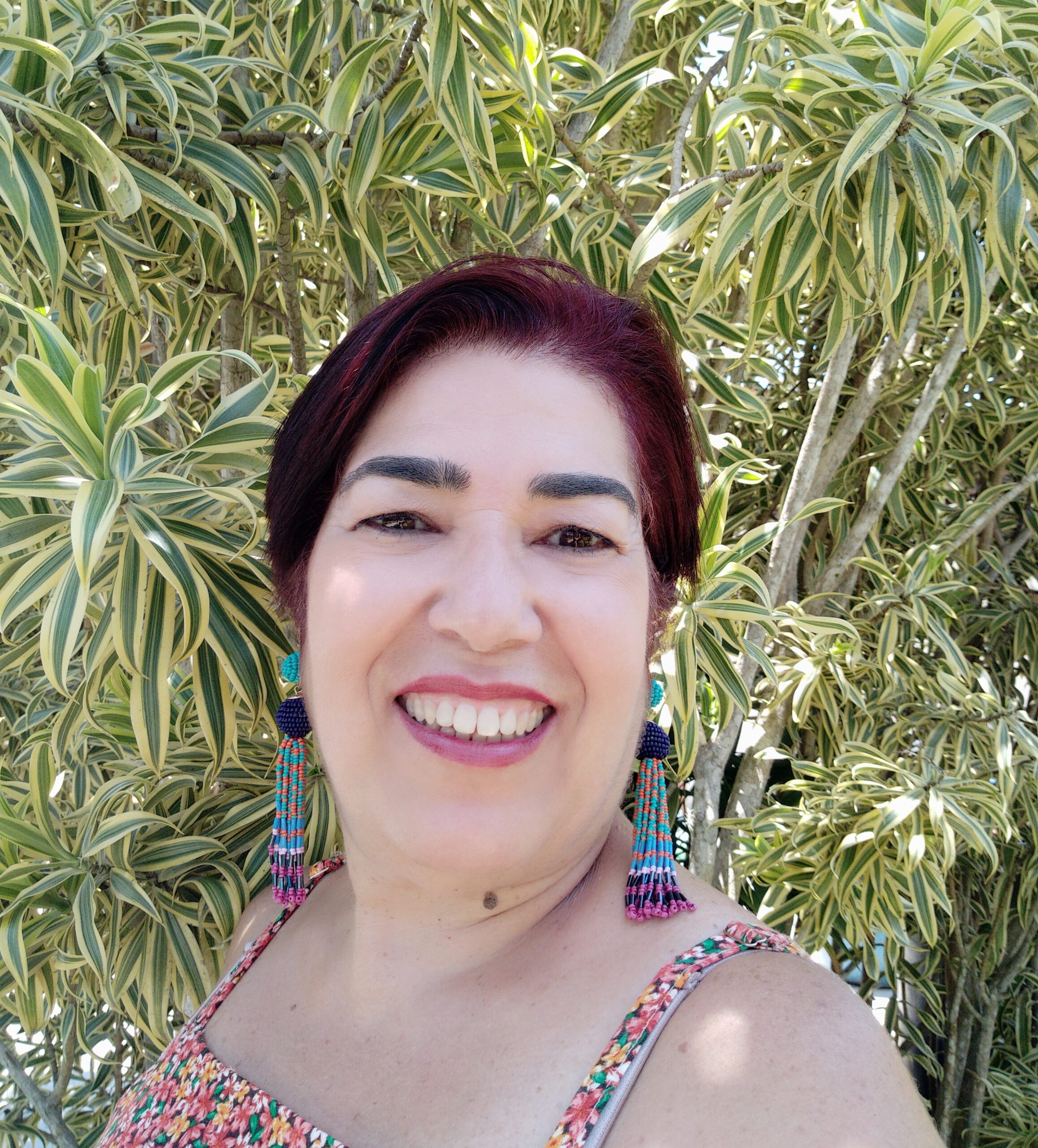 Imagem de perfil do pesquisador Suzi Santos de Aguiar