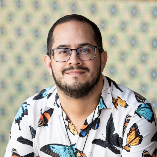 Imagem de perfil do pesquisador Luiz Alves Araújo Neto