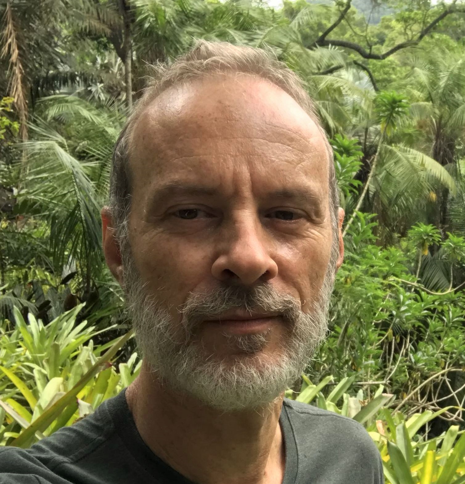 Imagem de perfil do pesquisador Marcos Gonzalez de Souza