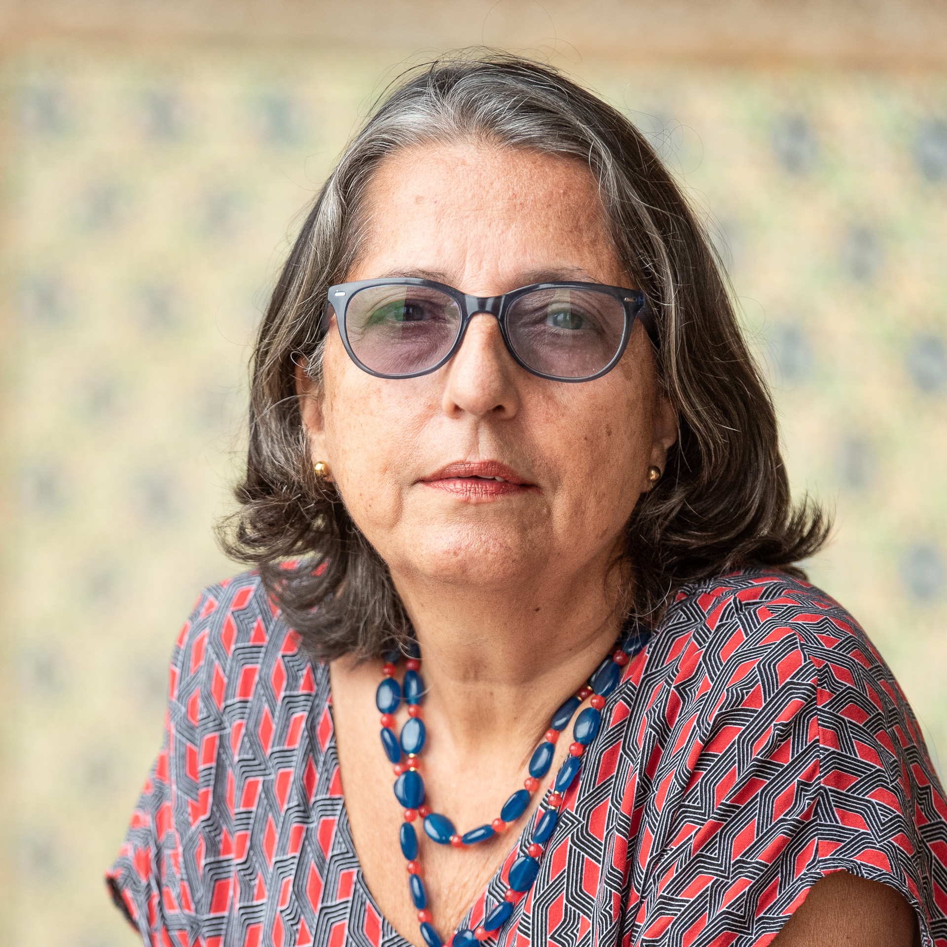 Imagem de perfil do pesquisador Alda Lúcia Heizer