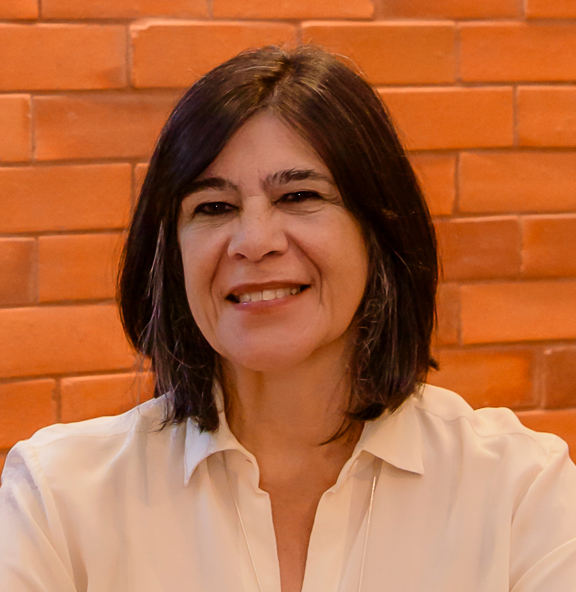 Imagem de perfil do pesquisador Magali Romero Sá