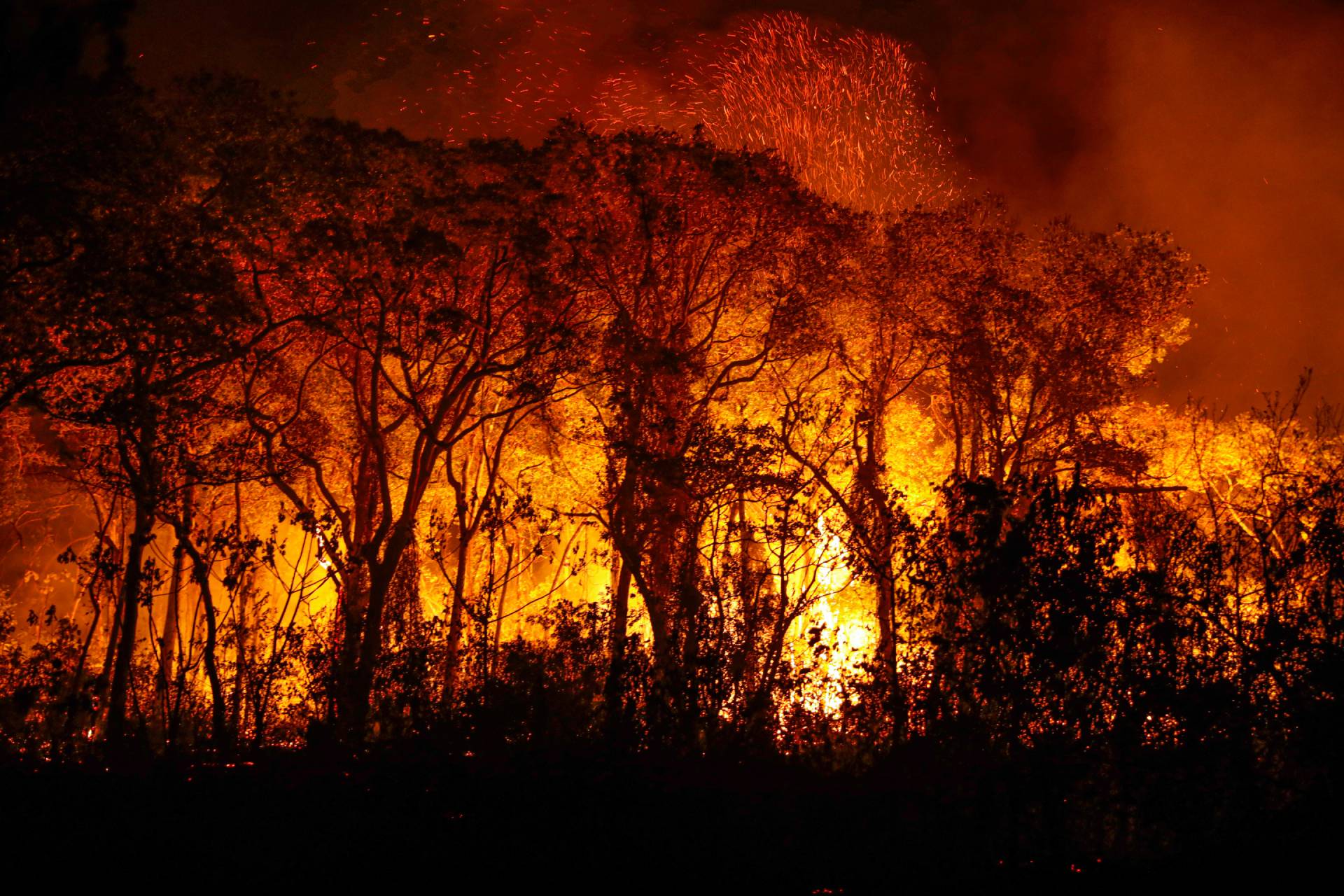 Cátedra Oswaldo Cruz debate mudanças climáticas, território e saúde