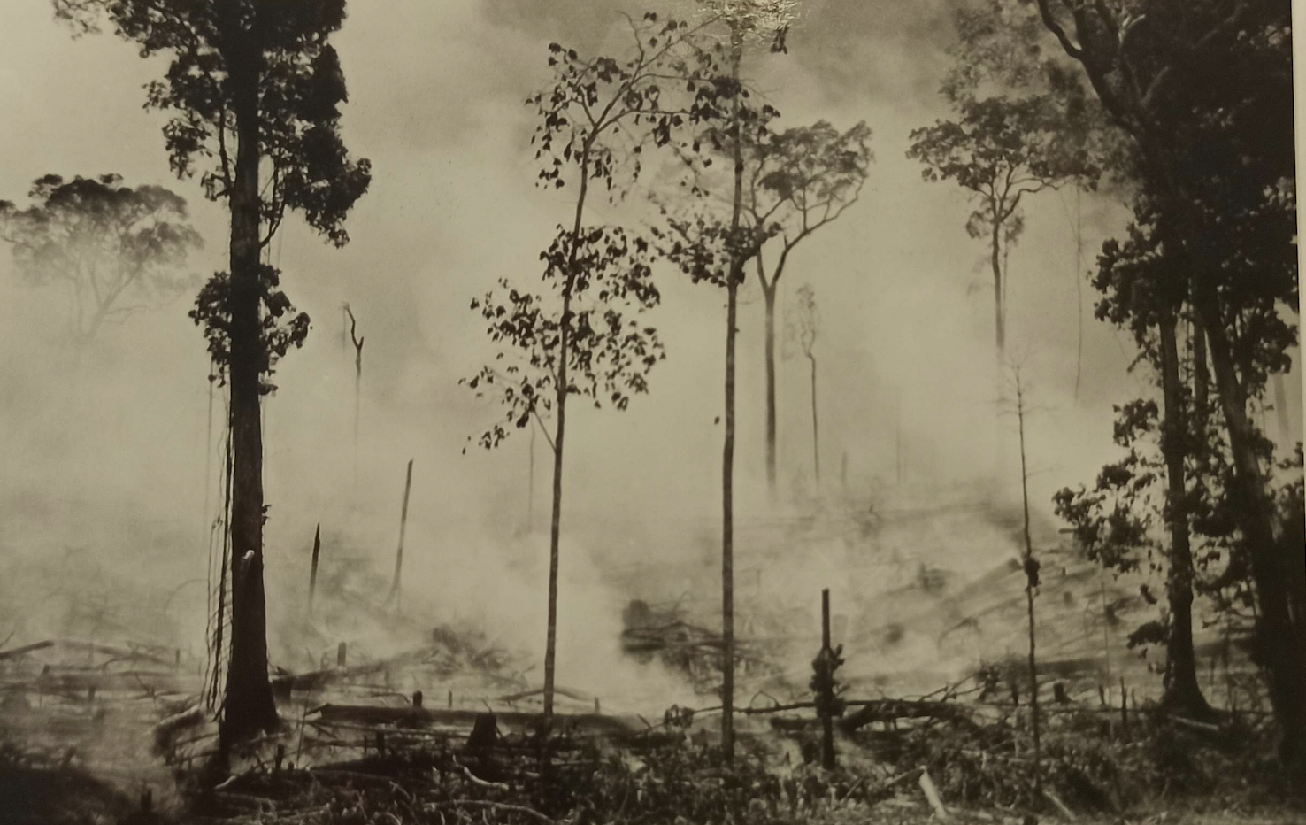 Com crise atual, clima passa a ser visto como ator relevante na História