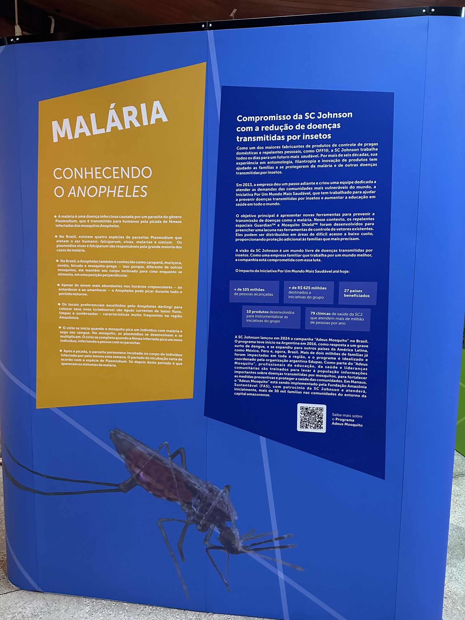 Exposição inédita alerta para doenças transmitidas por mosquitos