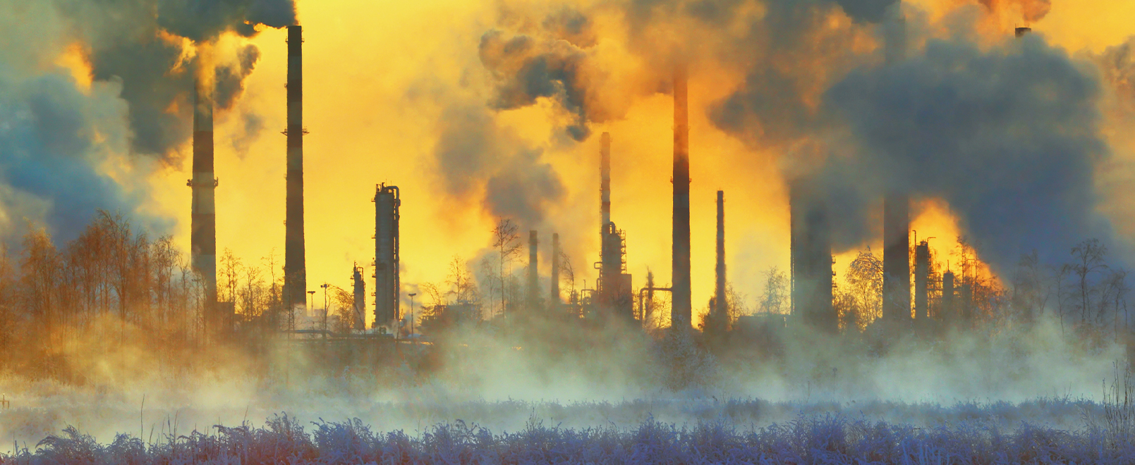 imagem de Minicurso discute paisagens tóxicas